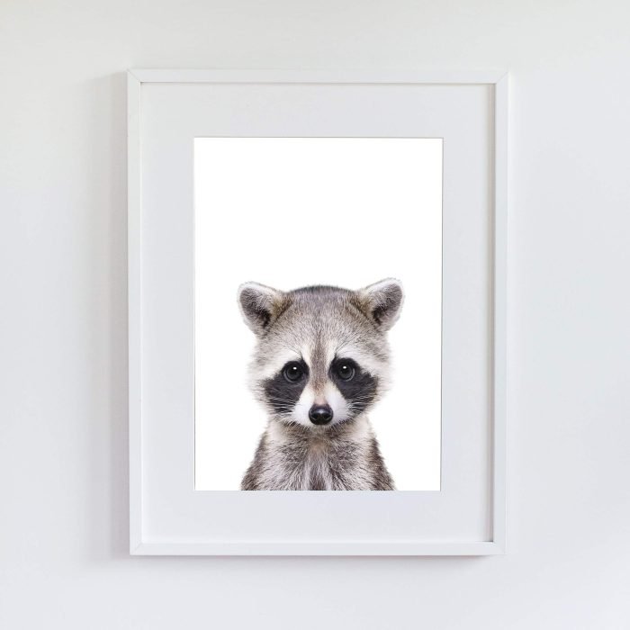 Jerry the Racoon - Image 8