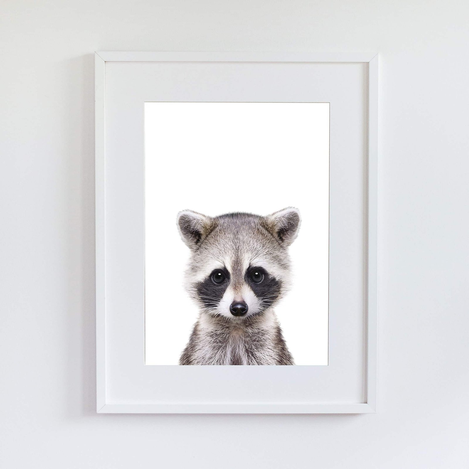 TB3 Jerry the Racoon - Image 8