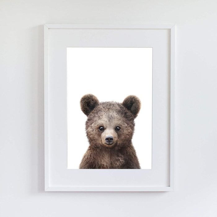 Paul the Bear - Image 15