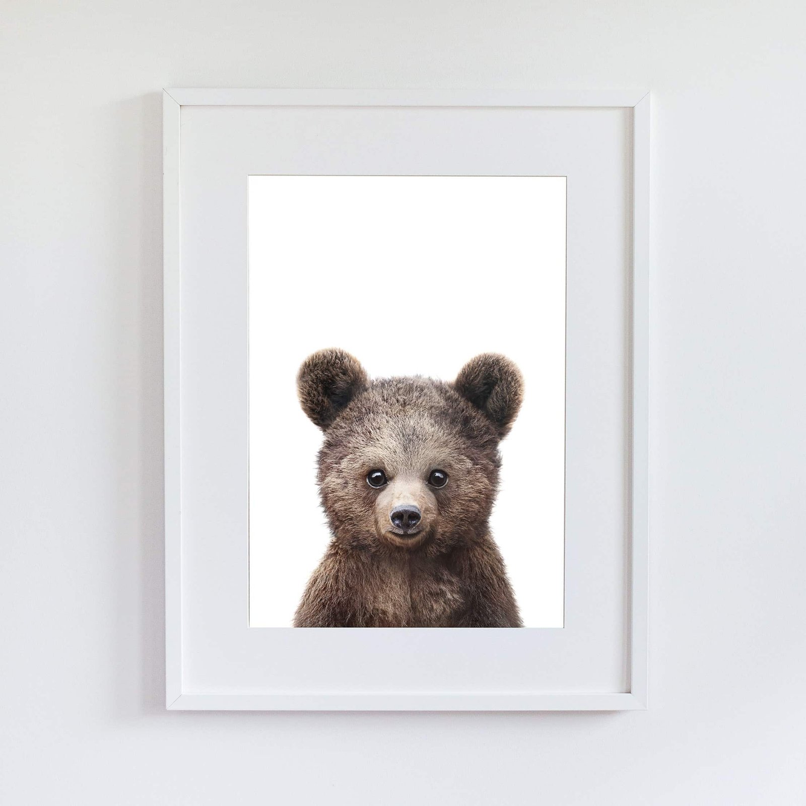 TB4 Paul the Bear - Image 15