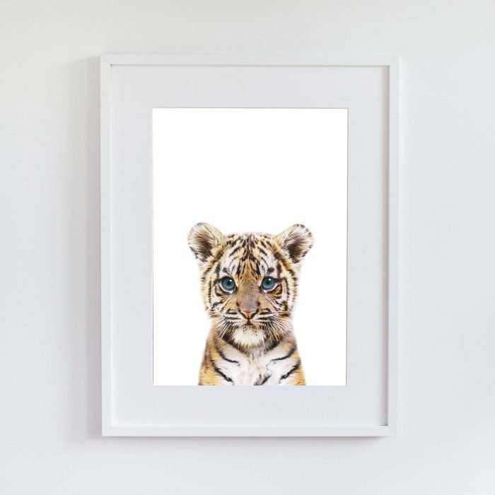 Maicy the Tiger - Image 7