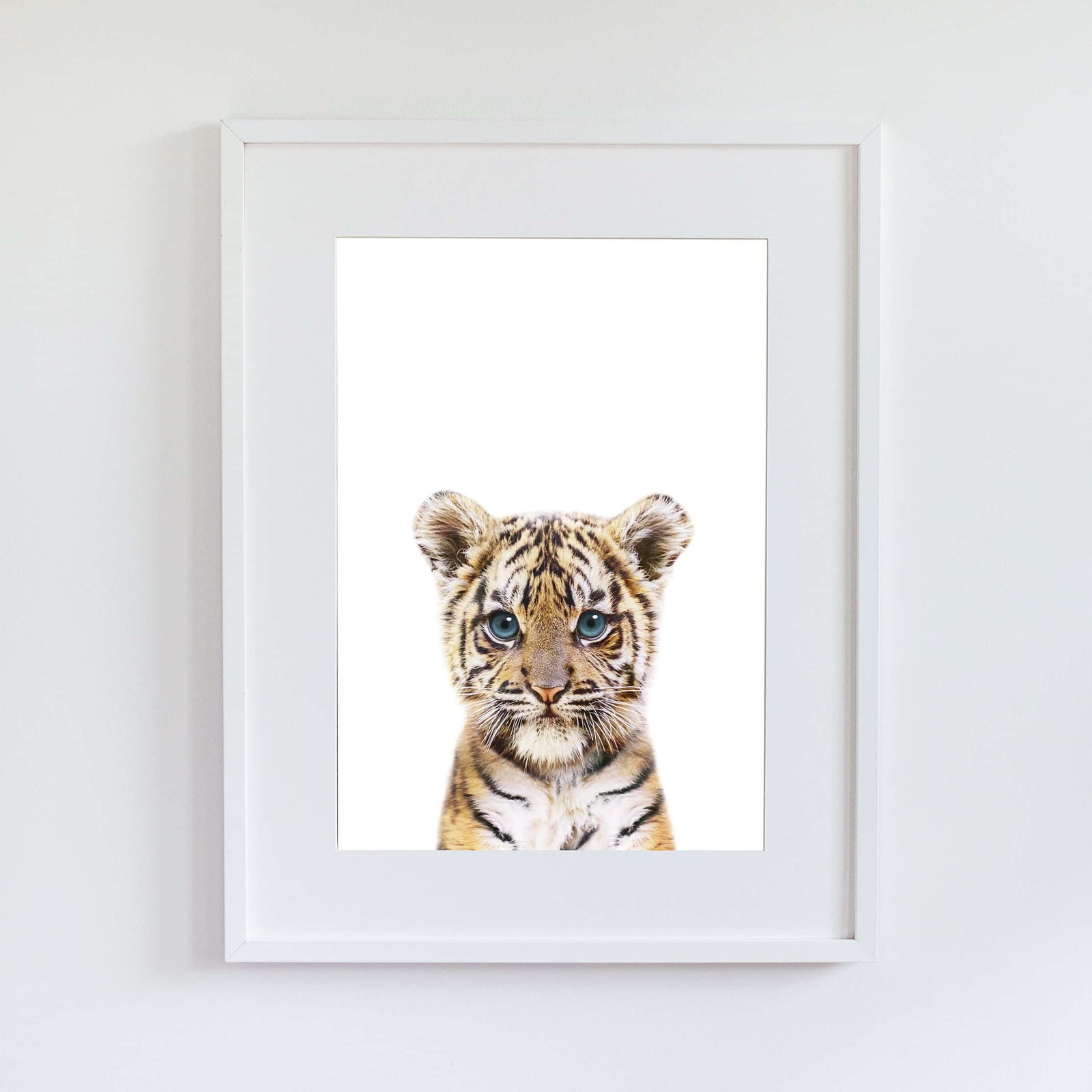 TB5 Maicy the Tiger - Image 7