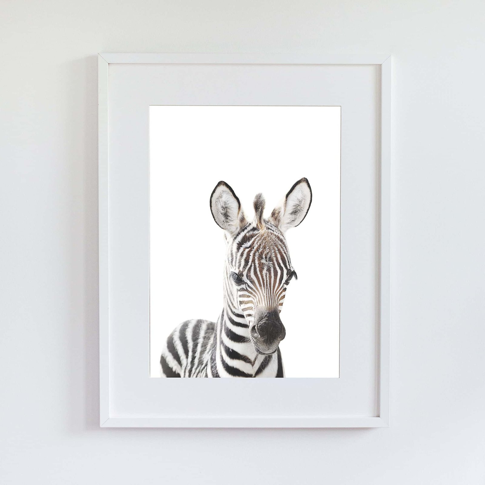TB6 Tacho the Zebra - Image 9