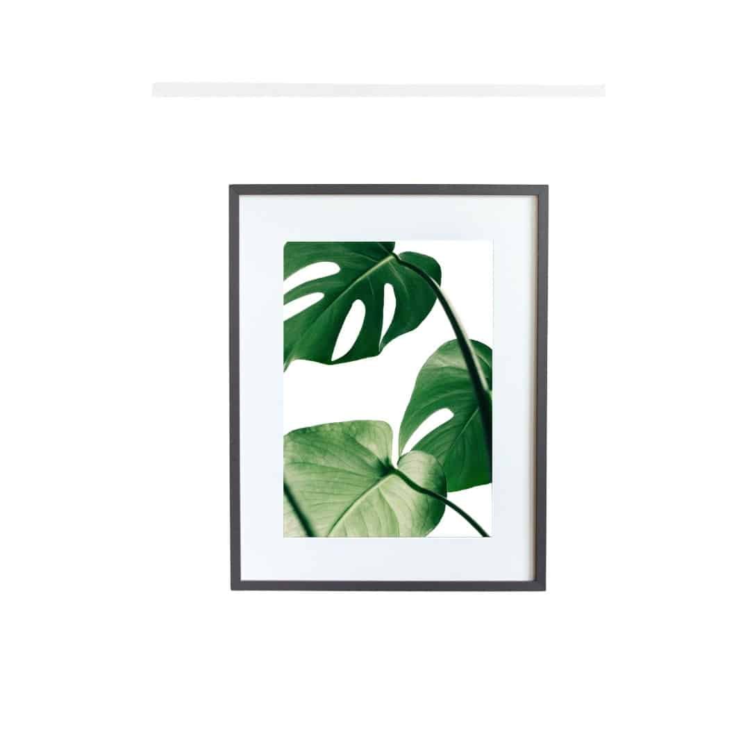Adsız tasarım Tropical Leaf - Image 6