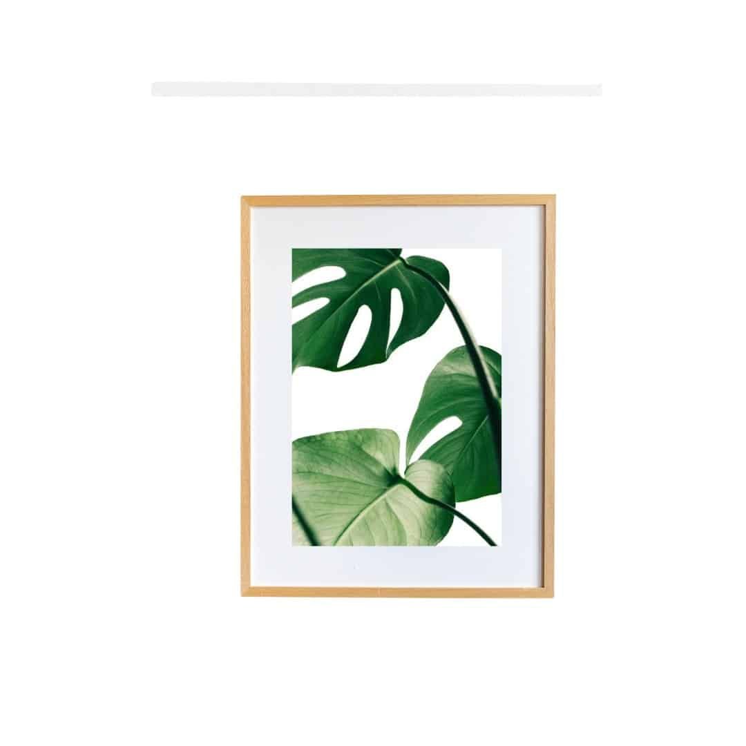 Adsız tasarım1 Tropical Leaf - Image 4