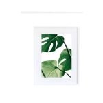 Tropical Leaf - Image 5