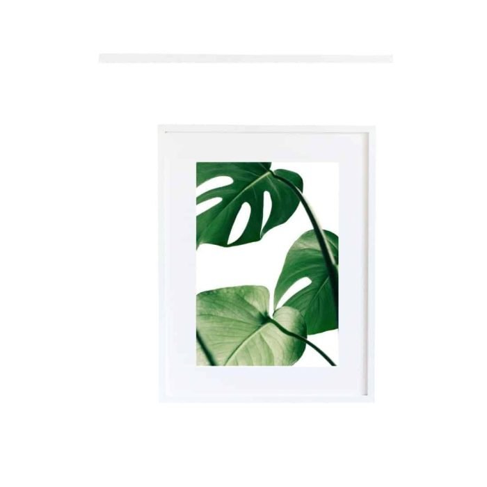 Tropical Leaf - Image 5