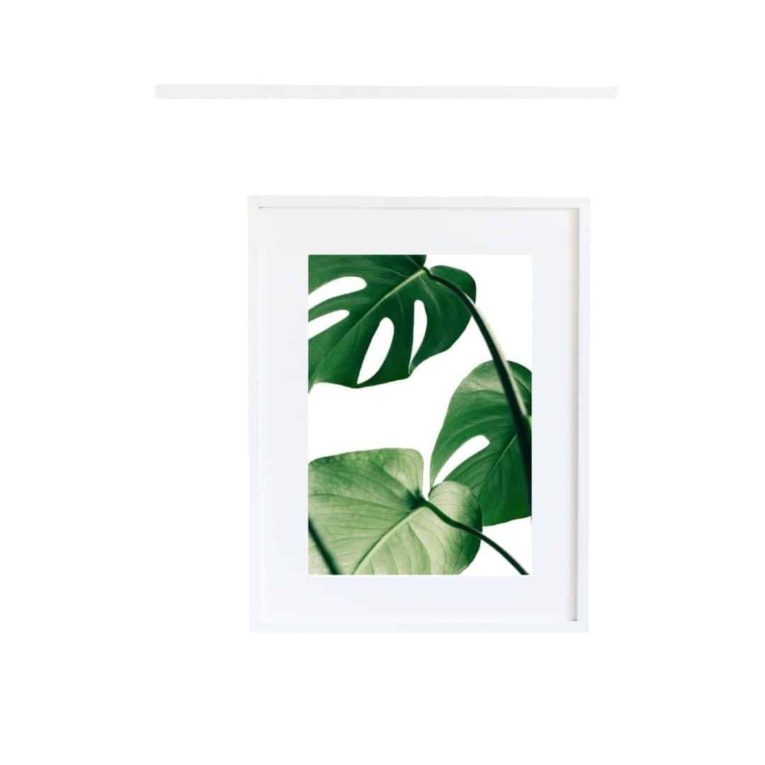 Adsız tasarım2 Tropical Leaf - Image 5