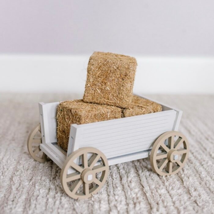 2BED1E5C-AAB9-47DB-BBE3-0F3DE67EDBD4 (Büyük) Handcart