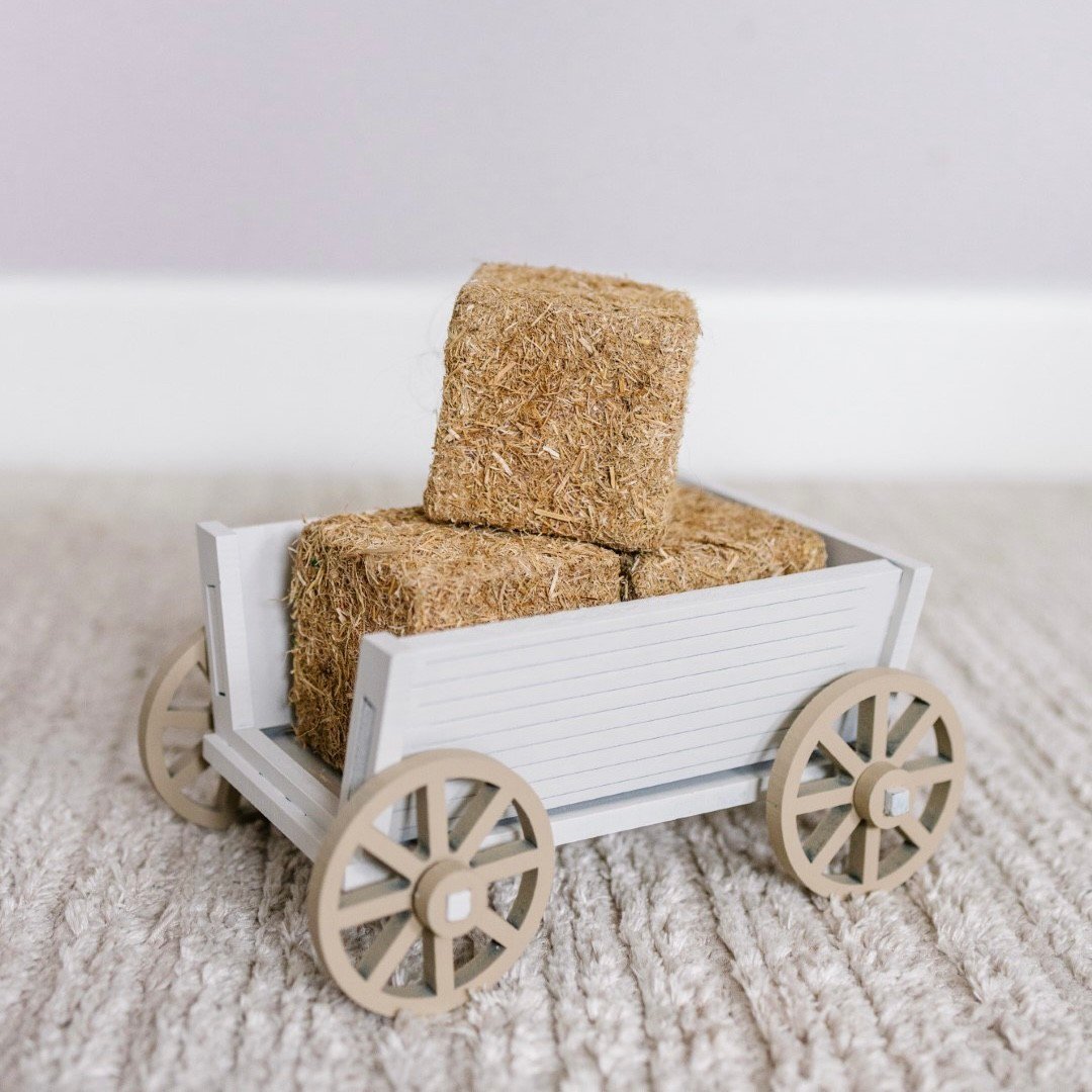 2BED1E5C-AAB9-47DB-BBE3-0F3DE67EDBD4 (Büyük) Handcart - Image 1