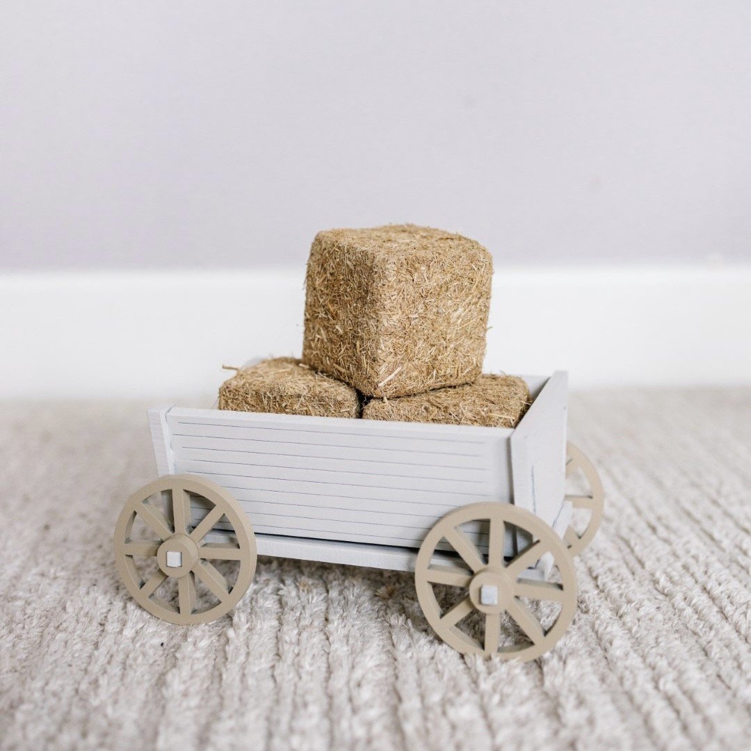 CA03FA26-5F32-4DA9-87F1-A8E5046FC08A (Büyük) Handcart - Image 5
